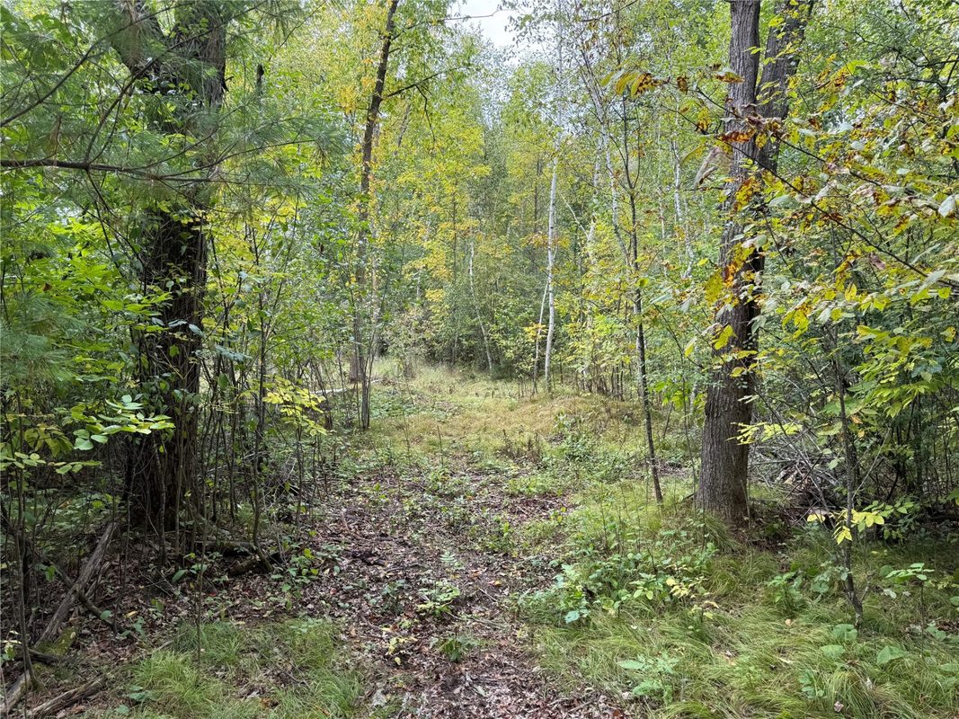 XXX 23 1/2 Street, Rice Lake WI 54868 - Land house for sale - MLS #1605312 - image13