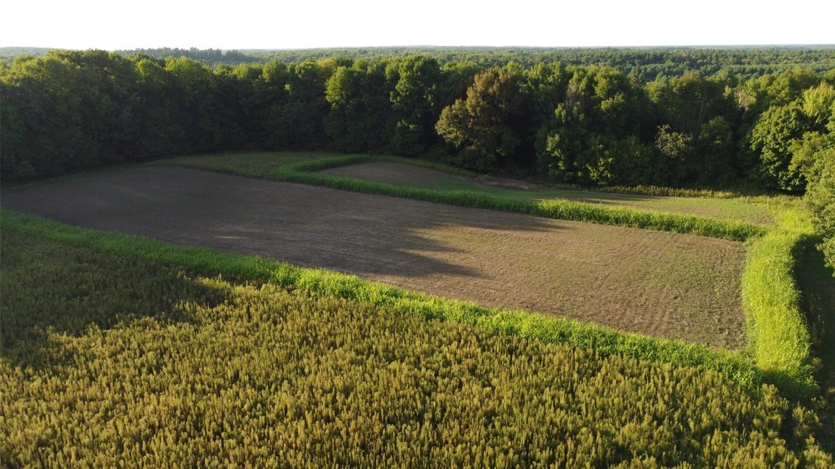 00 340th Avenue, Clam Falls WI 54837 - Land house for sale - MLS #1604779 - image8