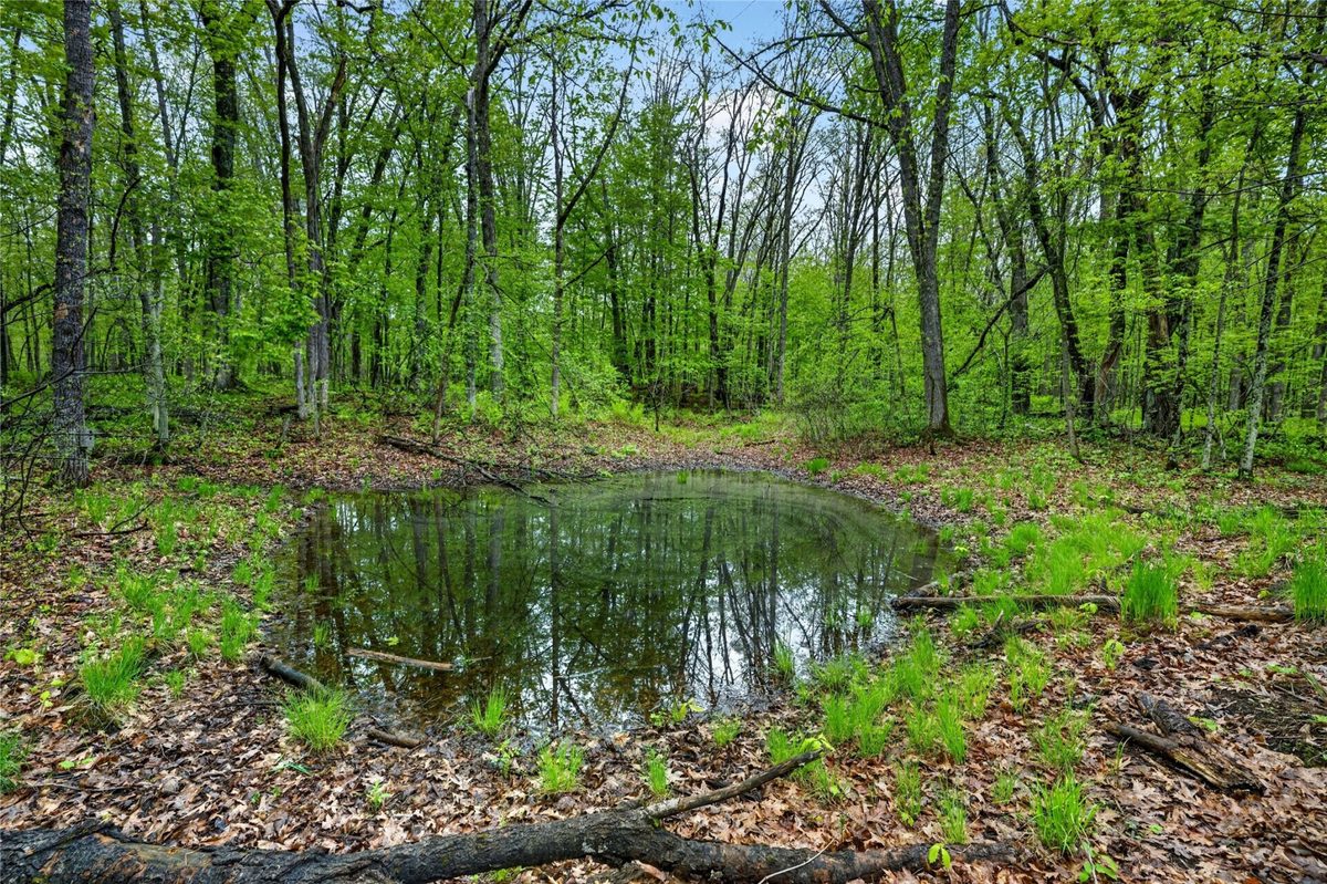 N8771 Fye Road, Trego WI 54888 - Residential house for sale - MLS #1601610 - image22
