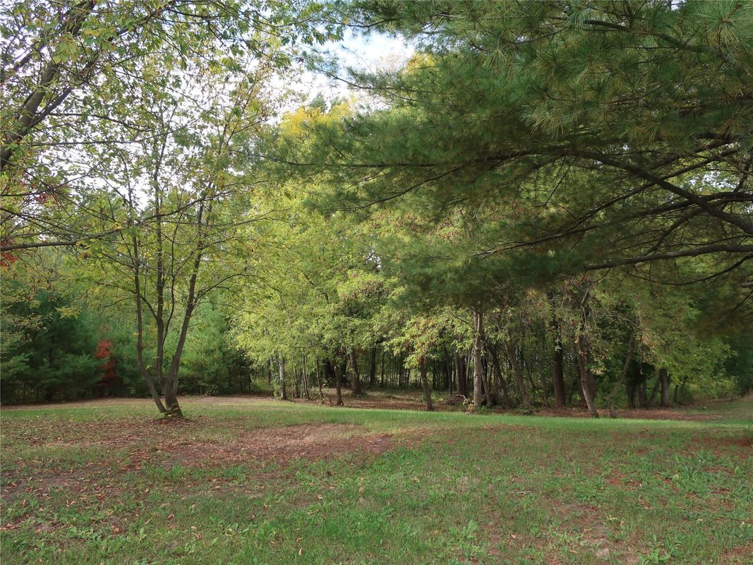 TBD Old 35, Siren WI 54872 - Land house for sale - MLS #1605520 - image16