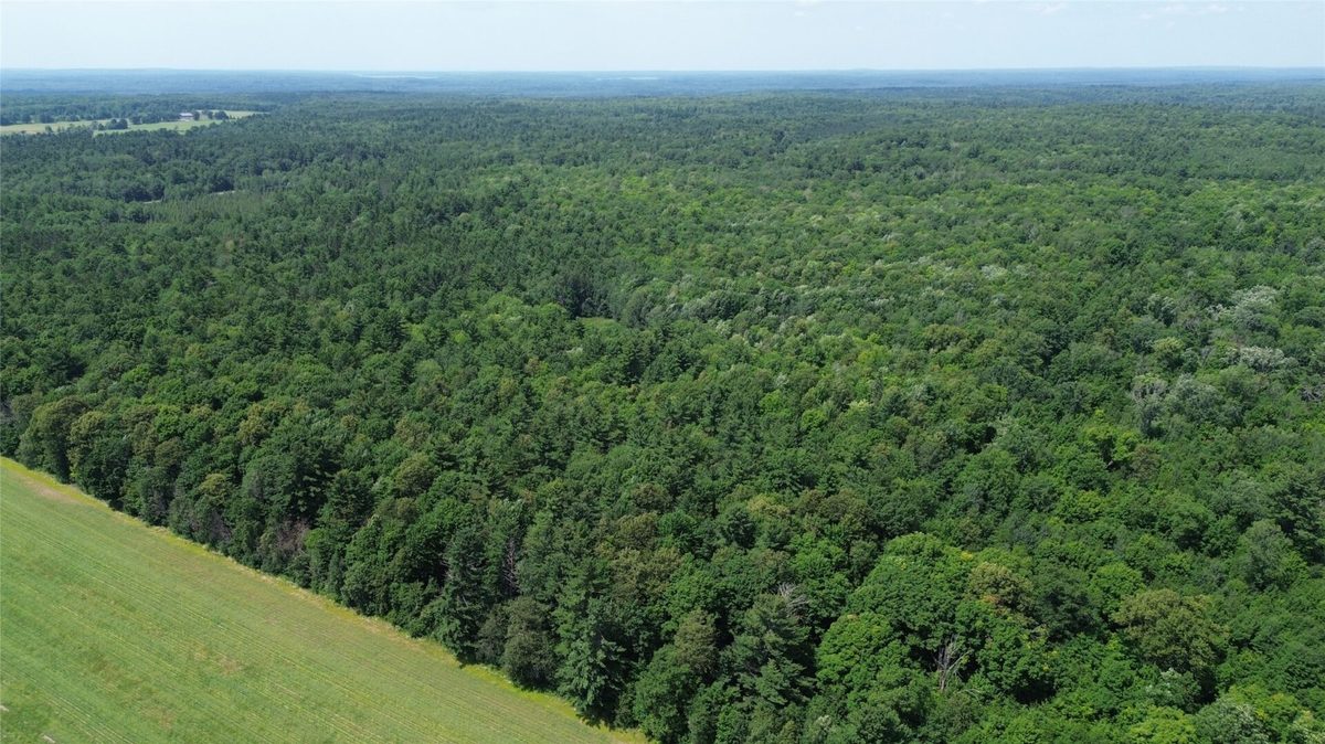 13743W State Highway 77, Hayward WI 54843 - Land house for sale - MLS #1603311 - image15
