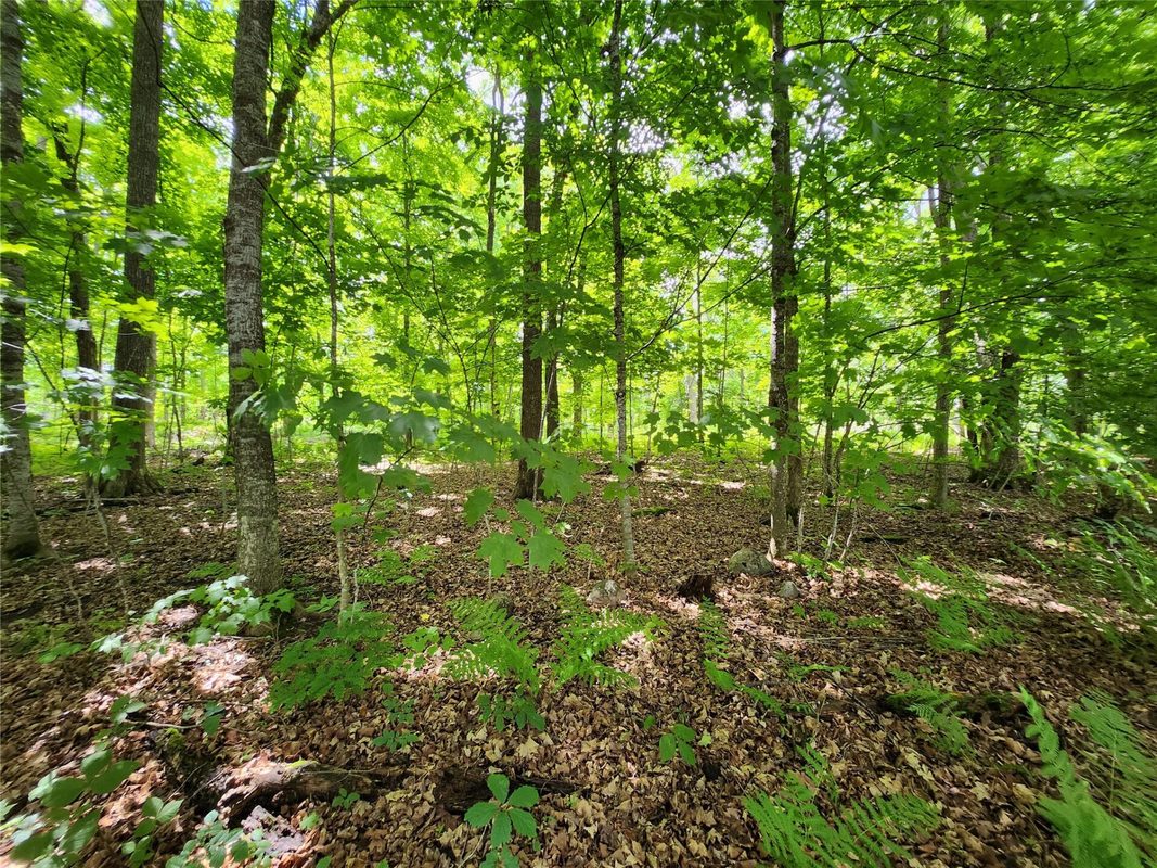 16799 Maple Terrace Drive, Birchwood WI 54817 - Residential house for sale - MLS #1603045 - image11