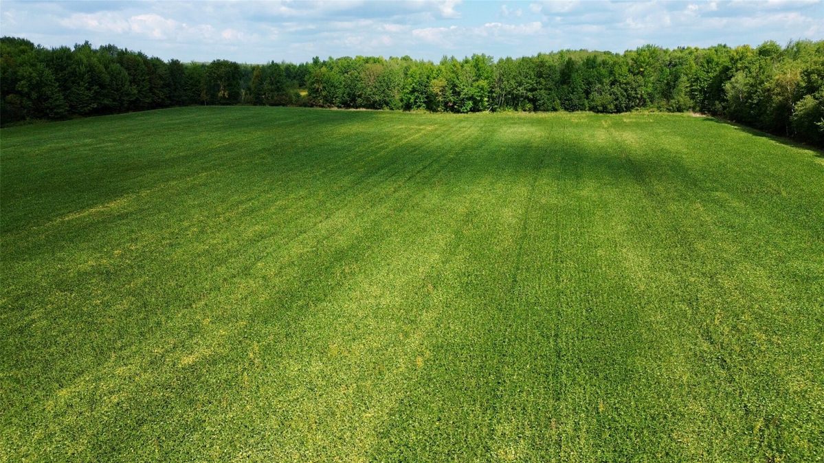 W16860 Cty Rd D, Sheldon WI 54766 - Land house for sale - MLS #1604631 - image3