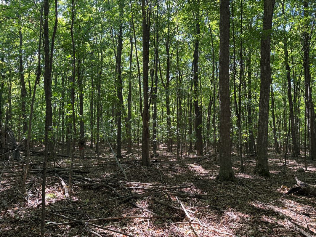 OOO County Road L, Merrill WI 54452 - Land house for sale - MLS #1605059 - image26
