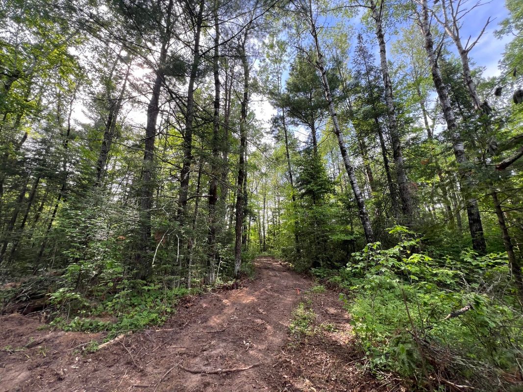 Lot 1 Smith Road, Couderay WI 54828 - Land house for sale - MLS #1601877 - image8