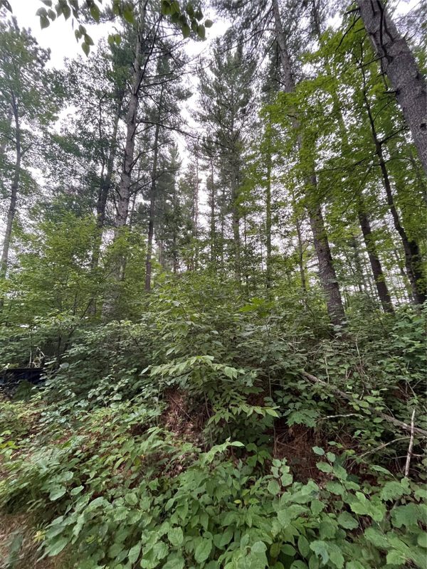 16876 Southview Trail, Stone Lake WI 54876 - Land house for sale - MLS #1599724 - image23