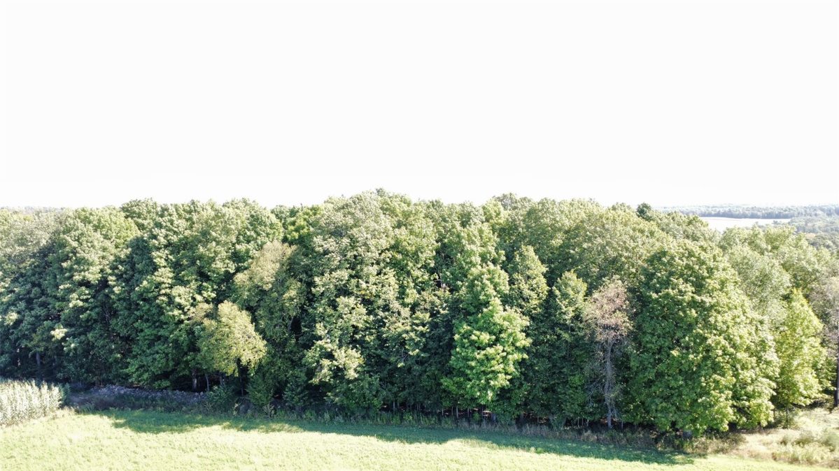 OOO County Road L, Merrill WI 54452 - Land house for sale - MLS #1605059 - image6
