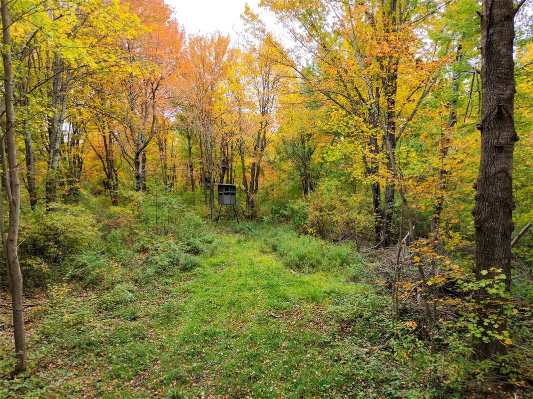 0000 County Road I, Ogema WI 54459 - Land house for sale - MLS #1605613 - image13