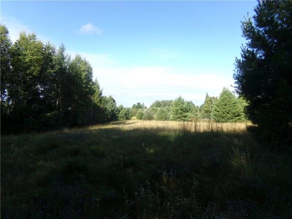 7581 Lot 1 Marsik Road, Lake Nebagamon WI 54849 - Land house for sale - MLS #1594623 - image1