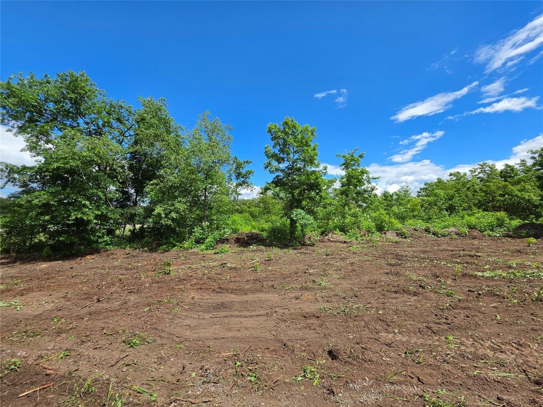 Lot 3 County Highway E, Elk Mound WI 54739 - Land house for sale - MLS #1600992 - image4