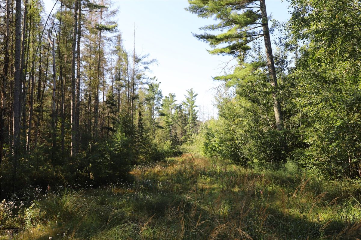 0000 Sand Lake Road, Stone Lake WI 54876 - Land house for sale - MLS #1604299 - image35