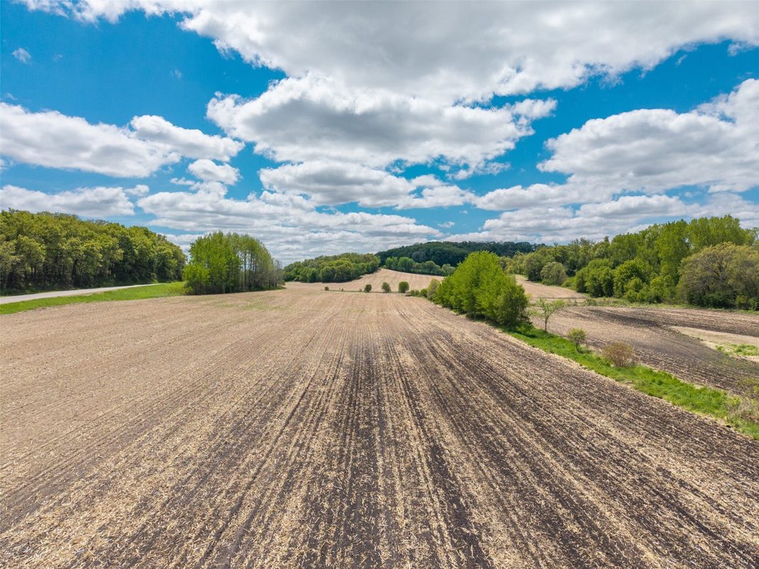 35 acres Old Town Road, Mondovi WI 54755 - Land house for sale - MLS #1601470 - image10