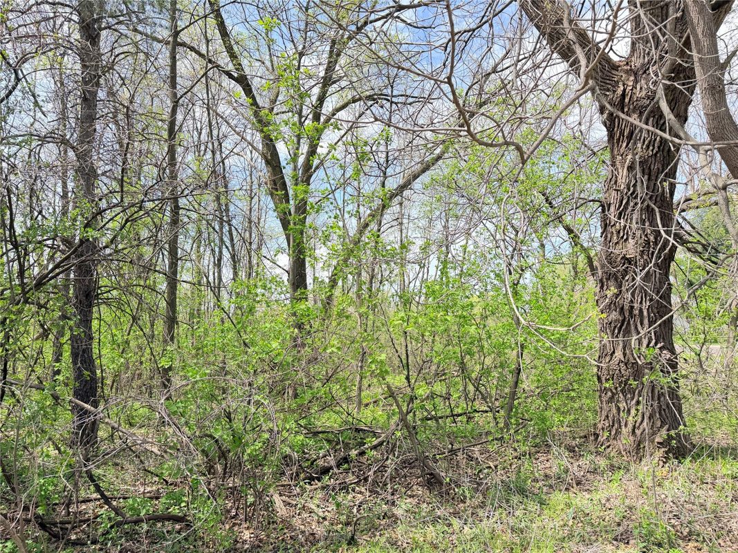 Lot 11 27th Court, Chippewa Falls WI 54729 - Land house for sale - MLS #1593541 - image7