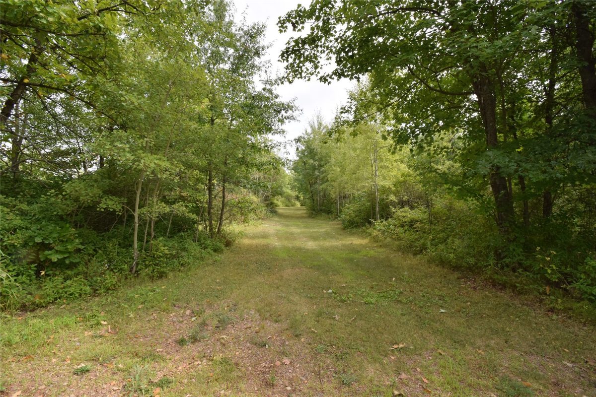 TBD State Highway 77, Danbury WI 54830 - Land house for sale - MLS #1604768 - image8