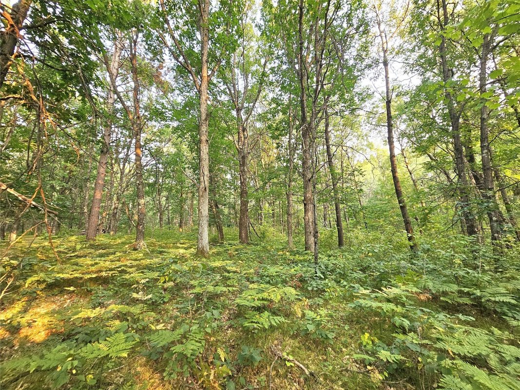 N8356 Lincoln Lake Road, Trego WI 54888 - Land house for sale - MLS #1604319 - image16