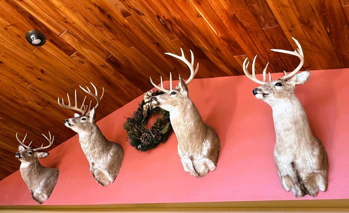 000 Pete Coulee Road, Taylor, WI — photo 9