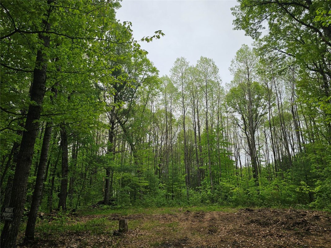 25227 Kruger Road, Webster WI 54893 - Land house for sale - MLS #1601553 - image11