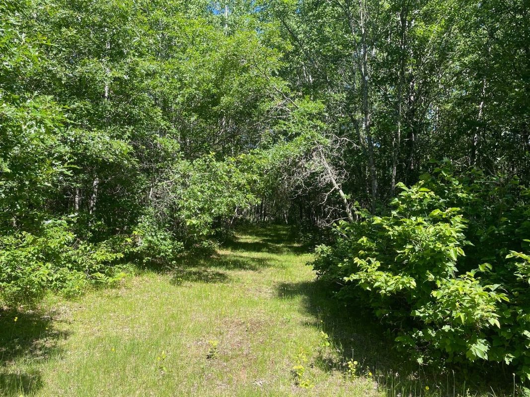 12997 Mail Road, Gordon WI 54838 - Residential house for sale - MLS #1602637 - image37