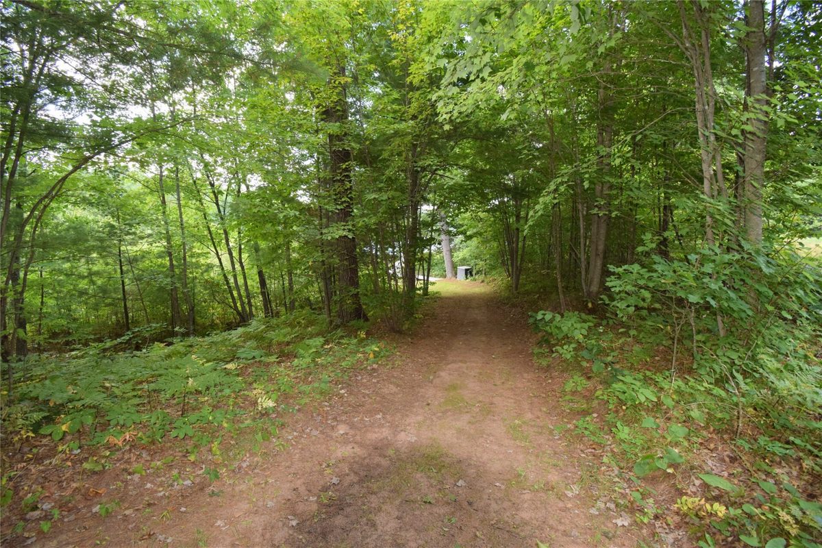 4646 Whitetail Path, Webster WI 54893 - Land house for sale - MLS #1604469 - image52
