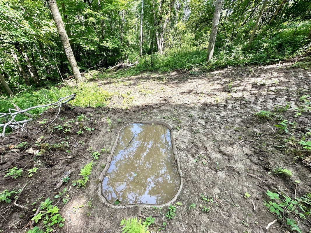 15.01 Acres 160th Avenue, Maiden Rock WI 54750 - Land house for sale - MLS #1604580 - image33