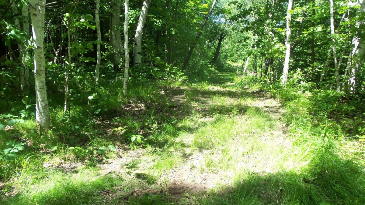 XXX Bashaw Store Road, Shell Lake WI 54871 - Land house for sale - MLS #1603494 - image28