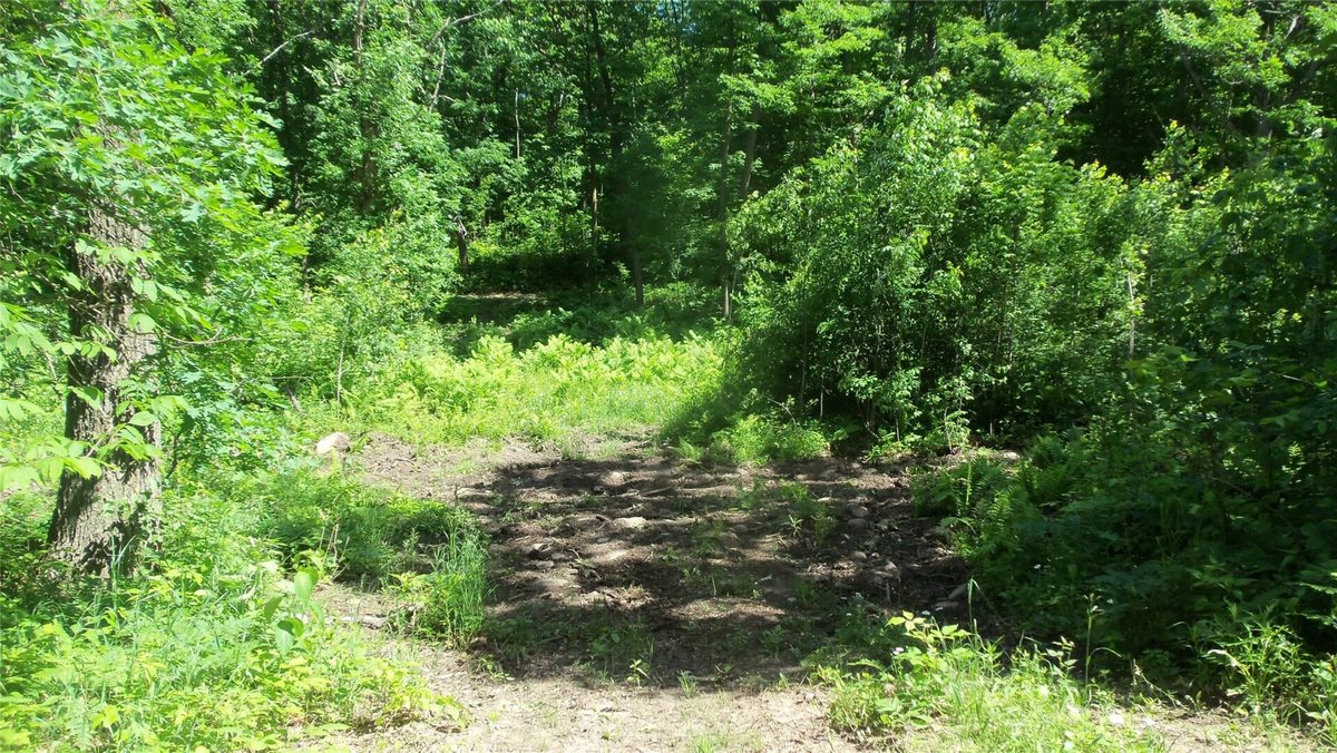 XXX Bashaw Store Road, Shell Lake WI 54871 - Land house for sale - MLS #1603494 - image8
