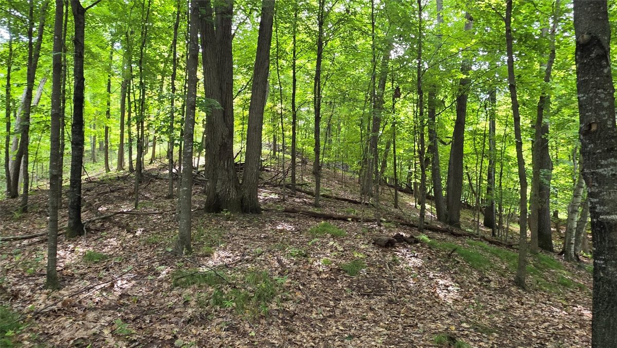 XX County Rd O, Boyceville WI 54725 - Land house for sale - MLS #1604881 - image35