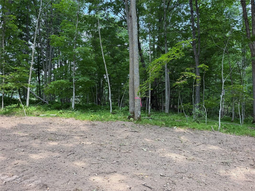 Lot 9 Hermosa Lane, Hayward WI 54843 - Land house for sale - MLS #1600925 - image7