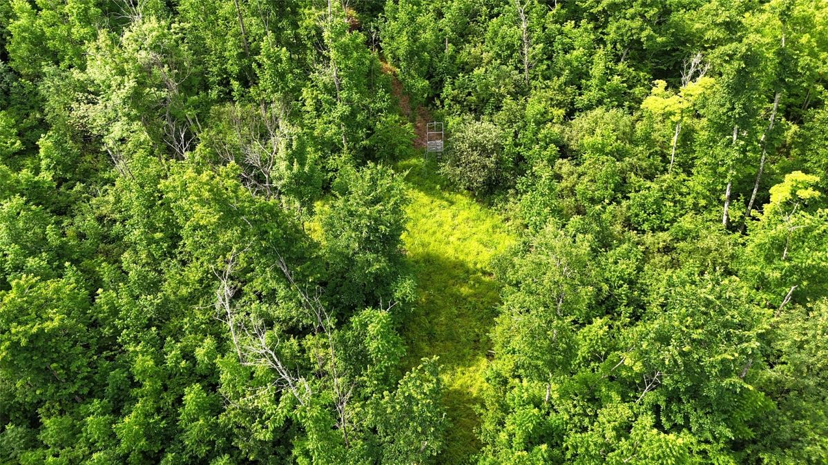 XXX Eckel Lane, Couderay WI 54835 - Land house for sale - MLS #1603143 - image21
