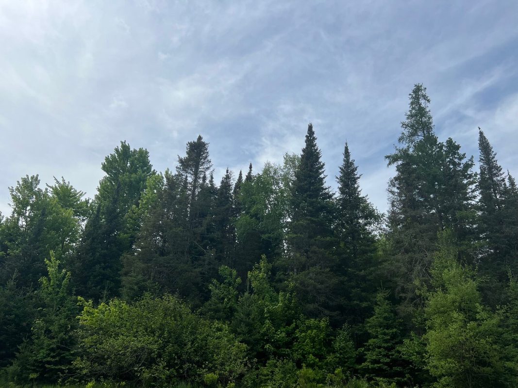 Lot 1 Smith Road, Couderay WI 54828 - Land house for sale - MLS #1601877 - image24