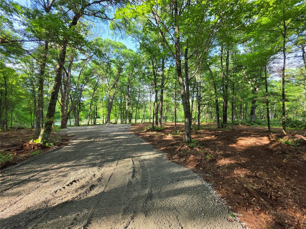 27646 295th (Lot 14) Avenue, Holcombe WI 54745 - Land house for sale - MLS #1602155 - image3