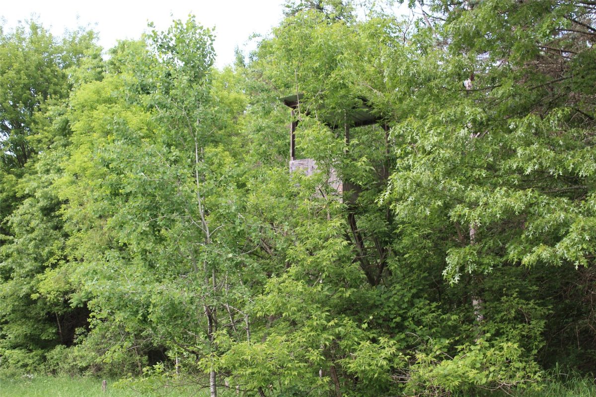 , Humbird WI 54746 - Residential house for sale - MLS #1602650 - image16