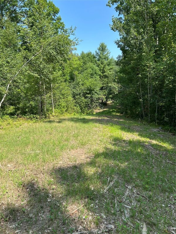 On Strabel Road, Stone Lake WI 54876 - Land house for sale - MLS #1604177 - image21