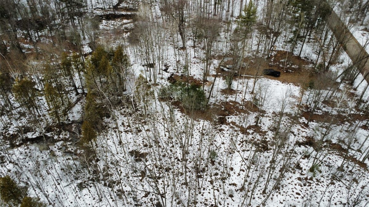 Land at OOO LAKE RD, Clintonville, WI 54929 — photo 25