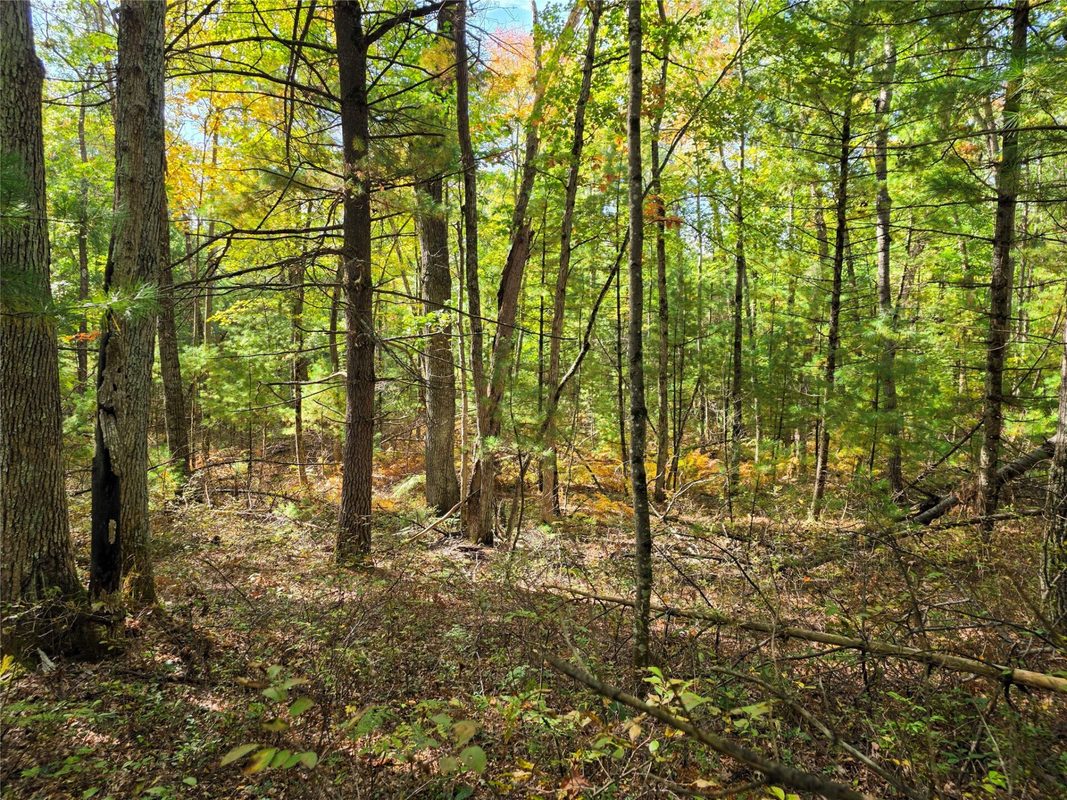 S10130 County Road H, Fairchild WI 54741 - Residential house for sale - MLS #1605513 - image37
