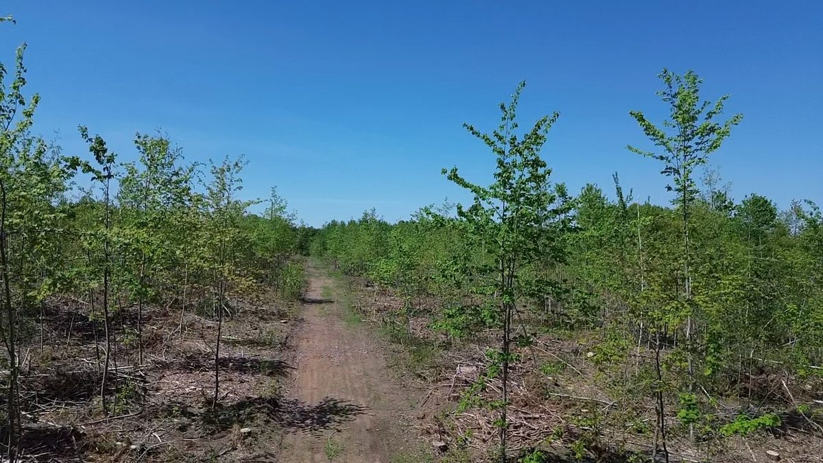 343X 5th Avenue, Spooner WI 54801 - Land house for sale - MLS #1601653 - image11