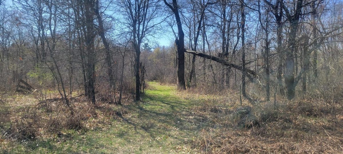 W14103 County P Highway, Taylor WI 54659 - Land house for sale - MLS #1600415 - image3