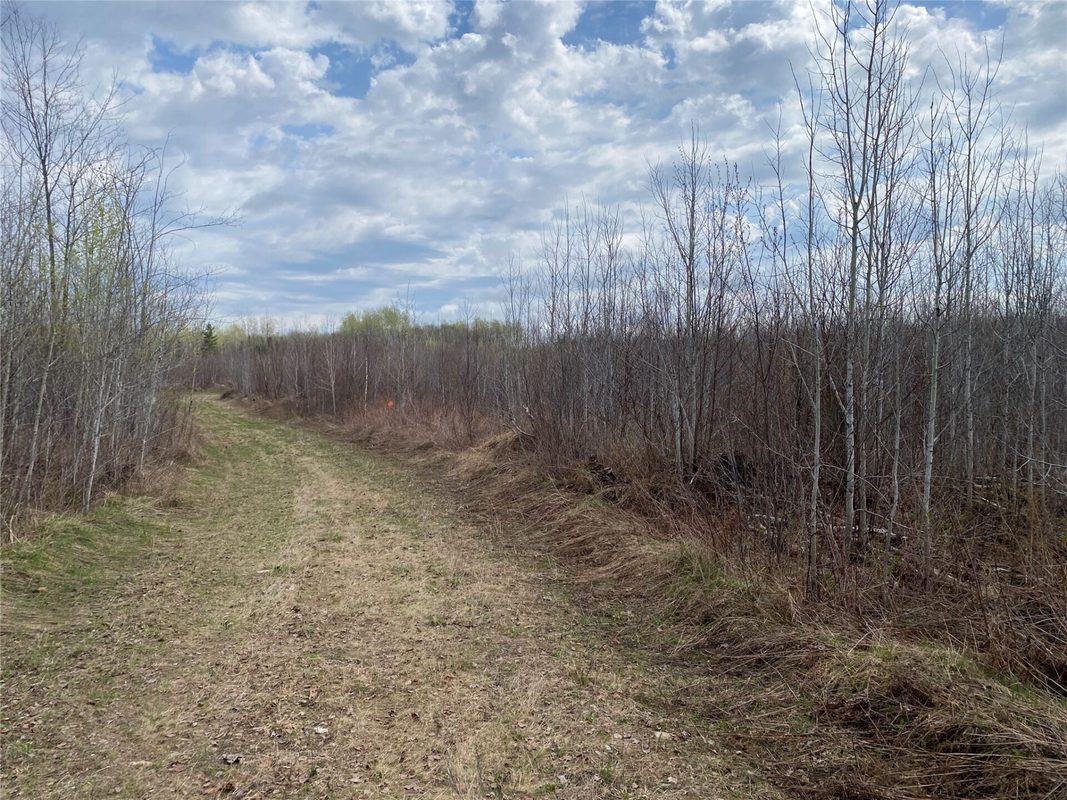 Near Wilson Lake Road Phillips WI 54555 — photo 4