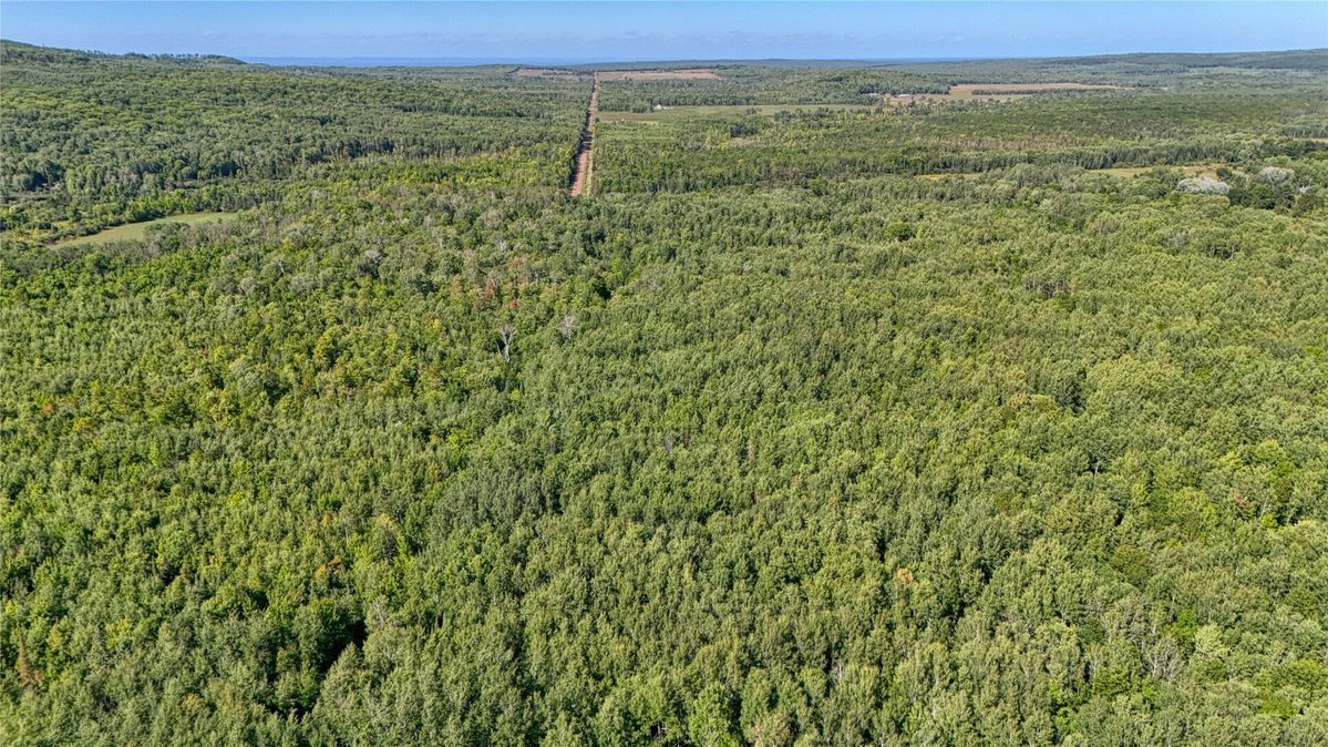 26615 Star Route Road, Bayfield WI 54814 - Land house for sale - MLS #1604800 - image10