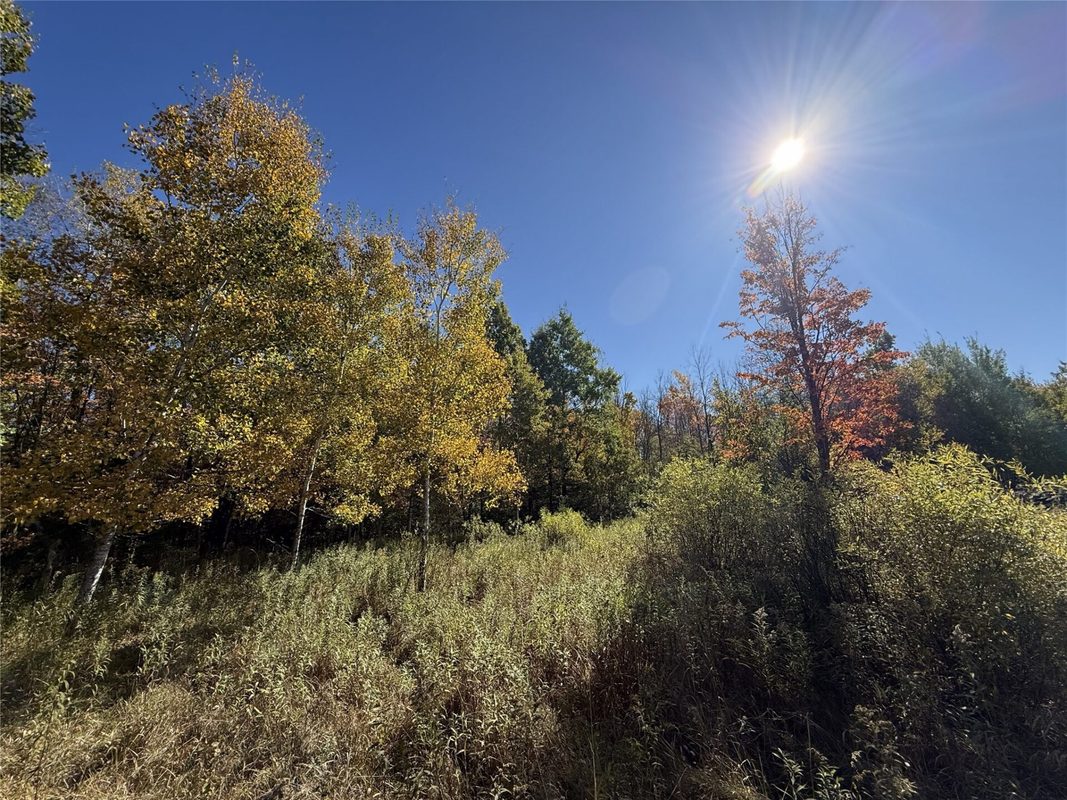 0 Moonshine Alley Lot 2, Catawba WI 54515 - Land house for sale - MLS #1606167 - image4