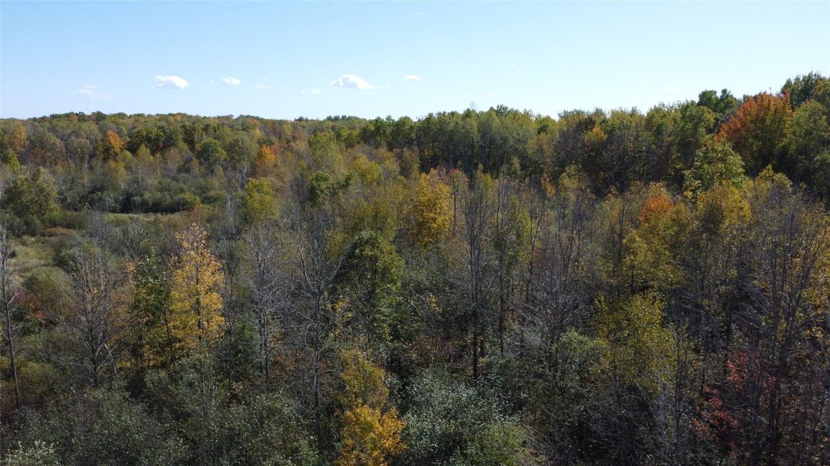 OOO Richfield Wood Road, Arpin WI 54410 - Land house for sale - MLS #1605936 - image15