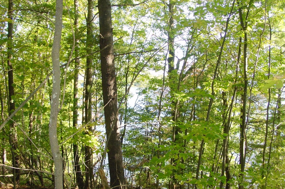 Lot 6 Mae West Road, Ladysmith WI 54848 - Land house for sale - MLS #1605333 - image15