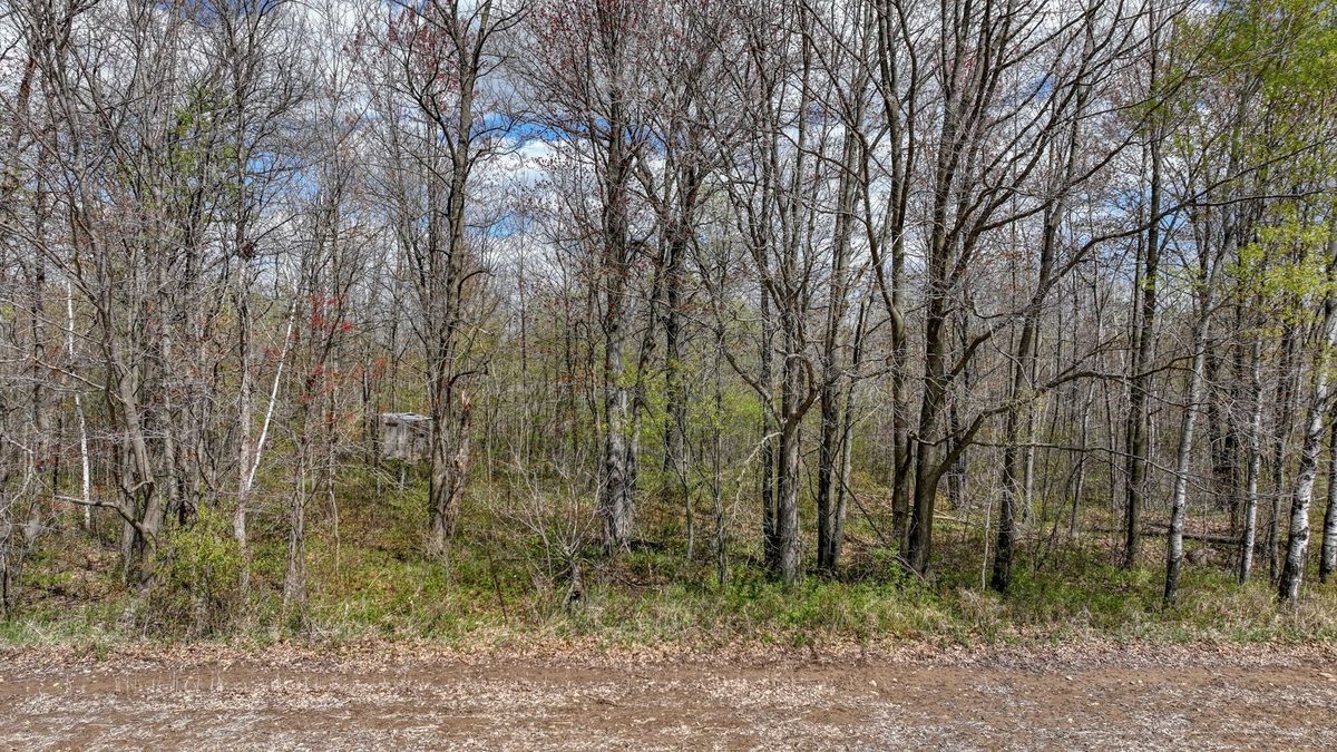 27.6 Acres off Helena Drive, Conrath WI 54731 - Land house for sale - MLS #1605499 - image19