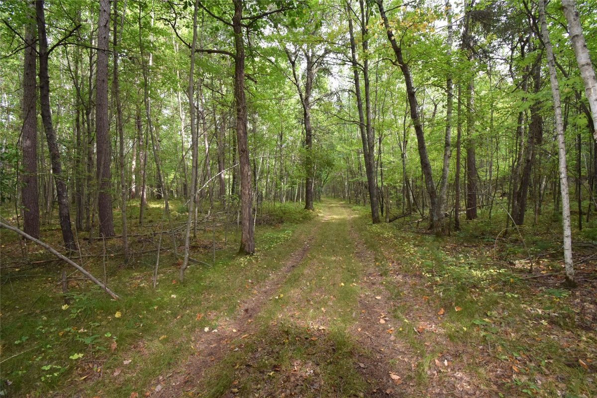 28206 Pardun Road, Danbury WI 54830 - Land house for sale - MLS #1604938 - image21