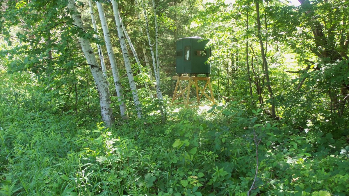 XXX Bashaw Store Road, Shell Lake WI 54871 - Land house for sale - MLS #1603494 - image23