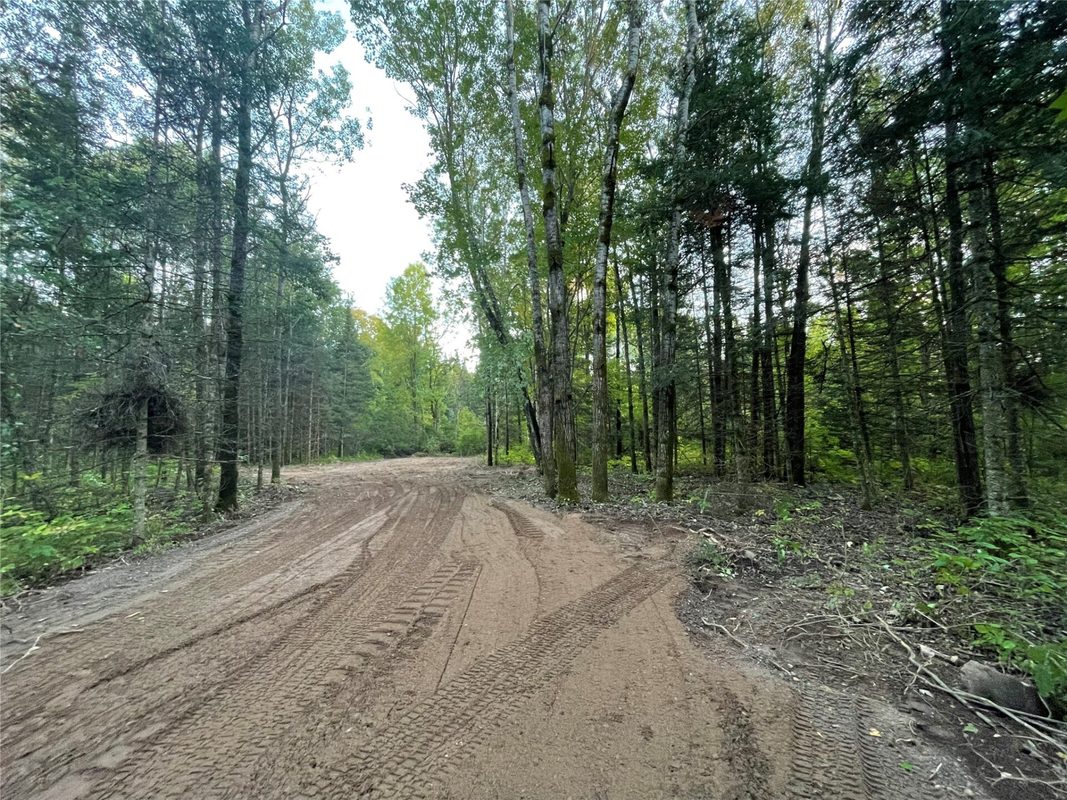 Lot 1 Fadness Road, Winter WI 54896 - Land house for sale - MLS #1605263 - image4