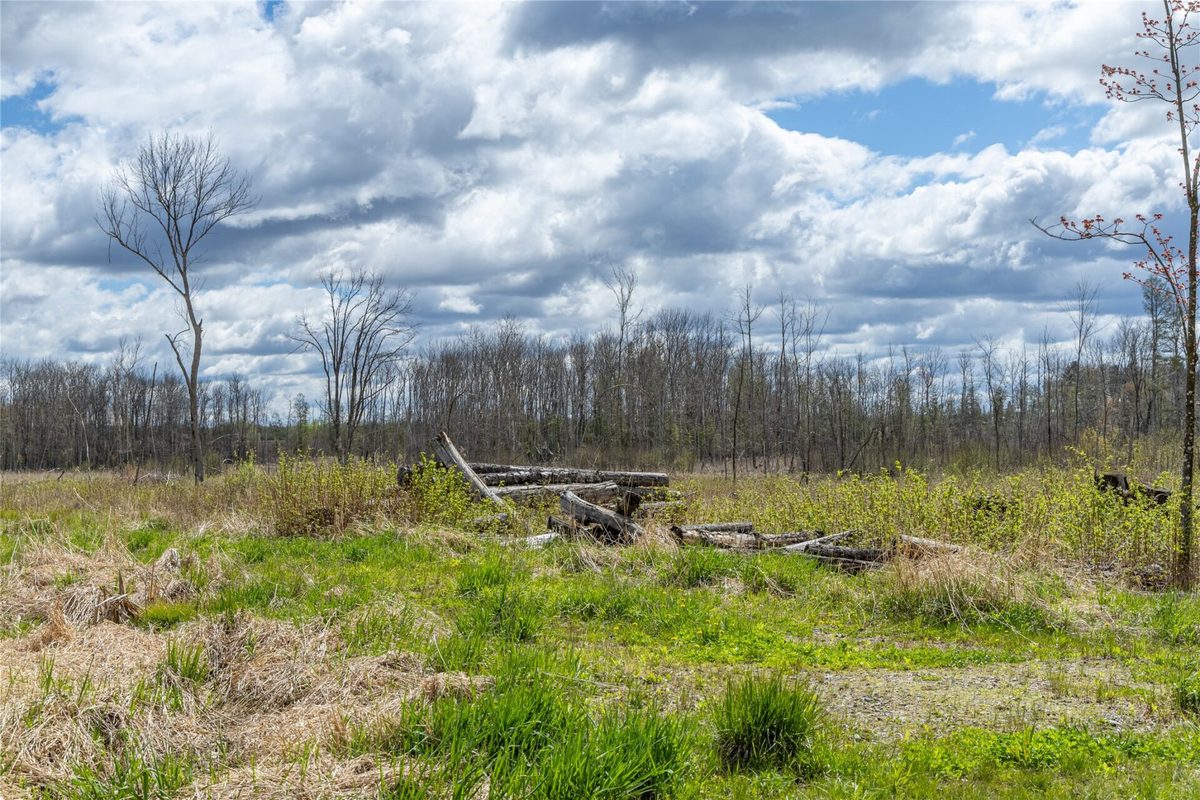 40 Acres Anderson Road & School Road, Glen Flora WI 54526 - Land house for sale - MLS #1601150 - image17