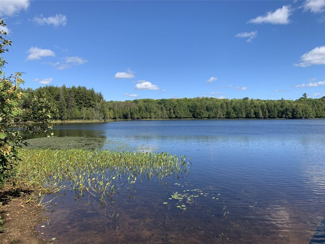 23229 Joy Villa Road, Glidden WI 54527 - Residential house for sale - MLS #1604485 - image14