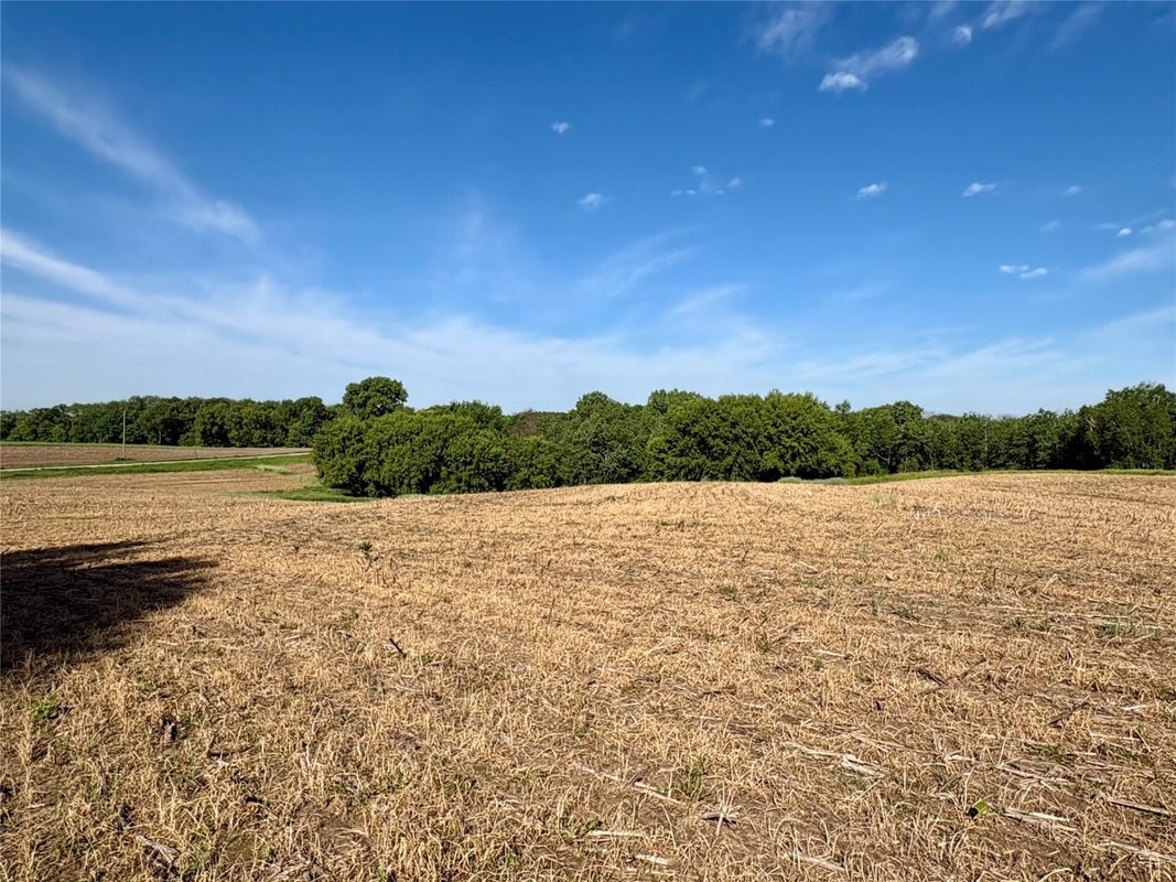 15.01 Acres 160th Avenue, Maiden Rock WI 54750 - Land house for sale - MLS #1604580 - image47
