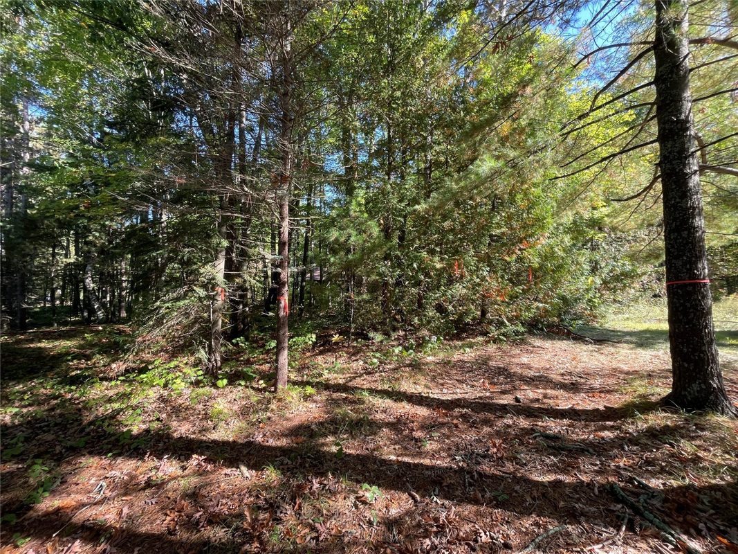 6073 Elsie Road, Stone Lake WI 54876 - Land house for sale - MLS #1602616 - image16